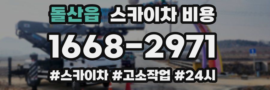 돌산읍 스카이차 비용