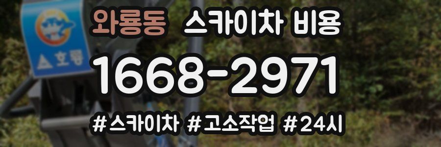 와룡동 스카이차 비용