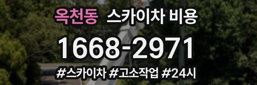 옥천동 스카이차 비용