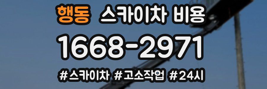 행동 스카이차 비용