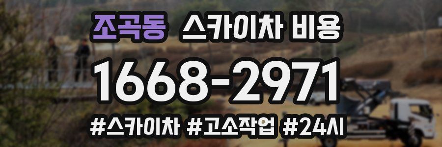 조곡동 스카이차 비용