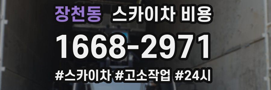 장천동 스카이차 비용