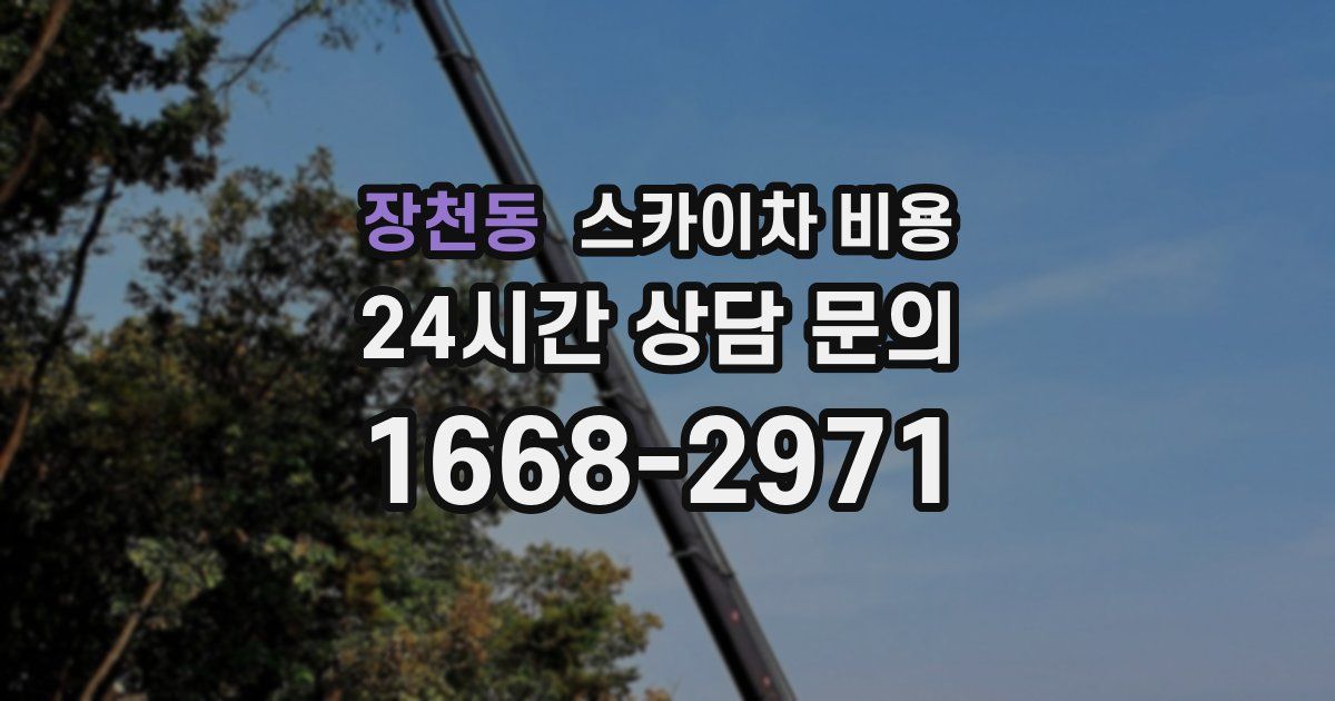 장천동 스카이차 비용