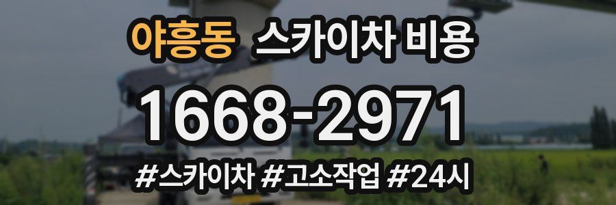 야흥동 스카이차 비용