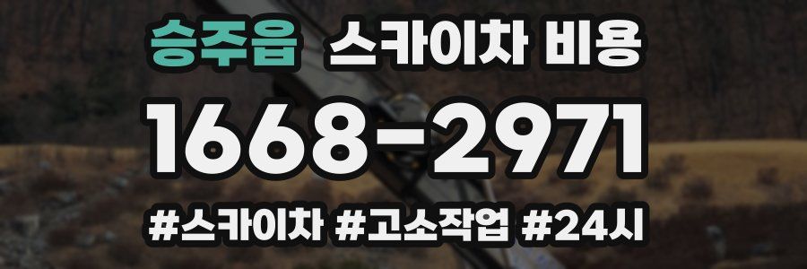 승주읍 스카이차 비용