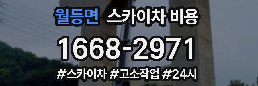 월등면 스카이차 비용