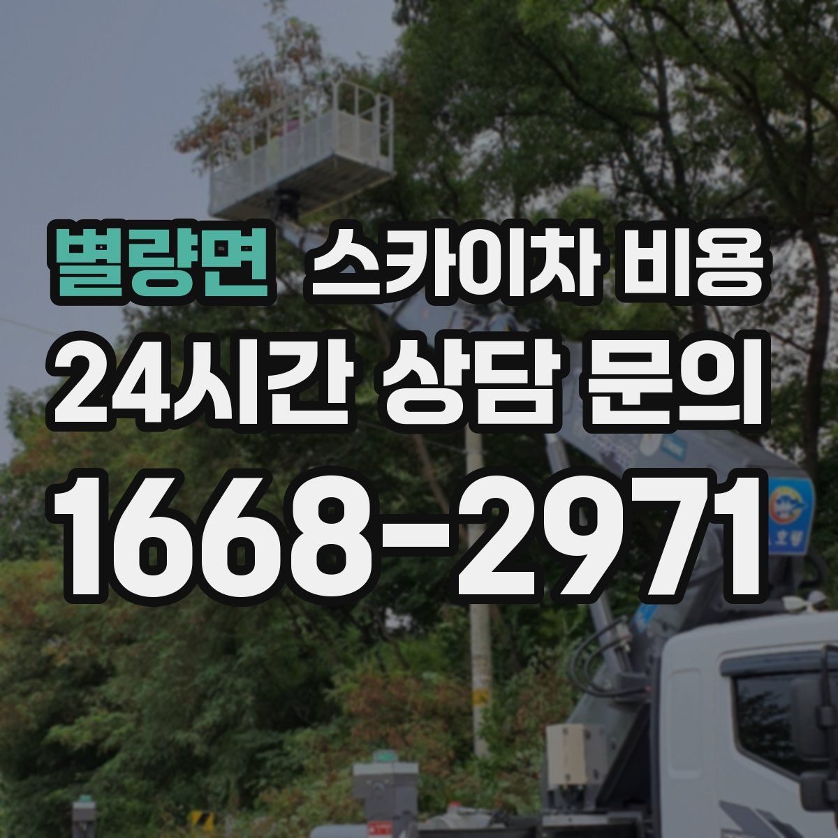 별량면 스카이차 비용