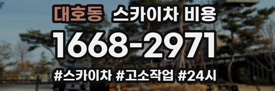 대호동 스카이차 비용