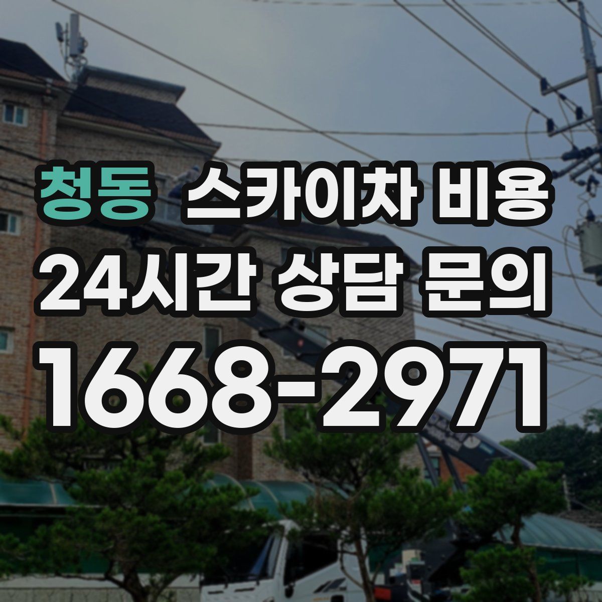 청동 스카이차 비용