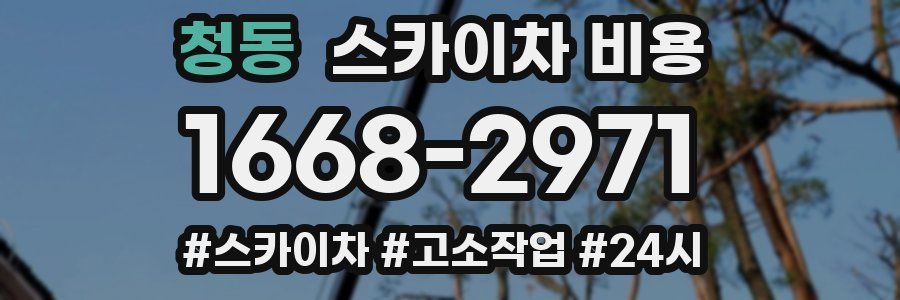 청동 스카이차 비용