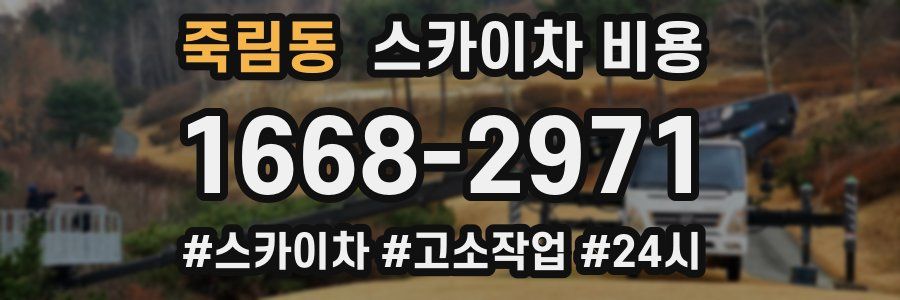 죽림동 스카이차 비용