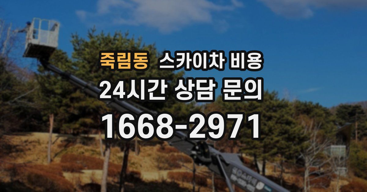 죽림동 스카이차 비용