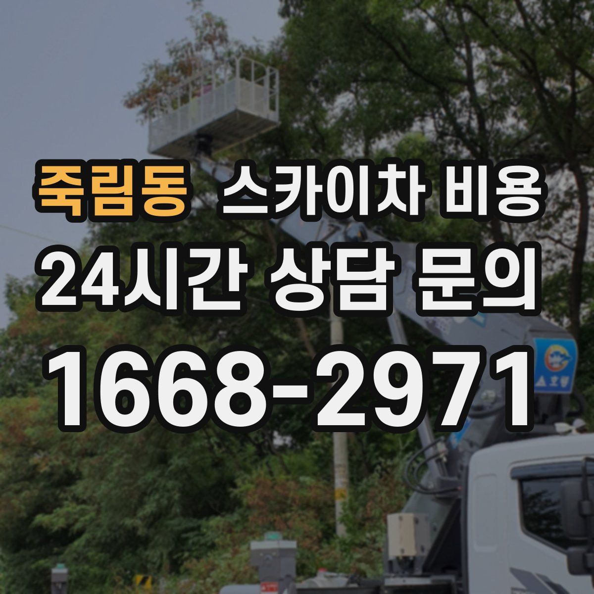 죽림동 스카이차 비용