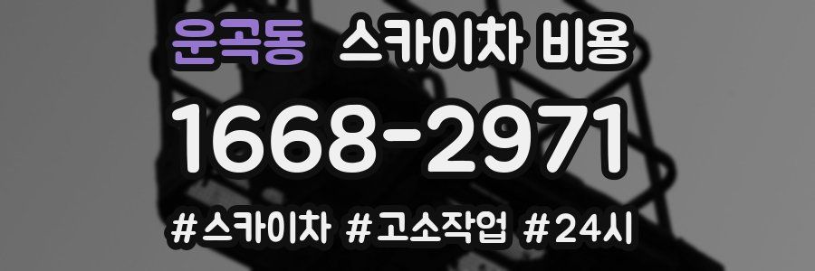 운곡동 스카이차 비용