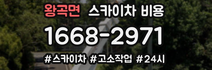 왕곡면 스카이차 비용