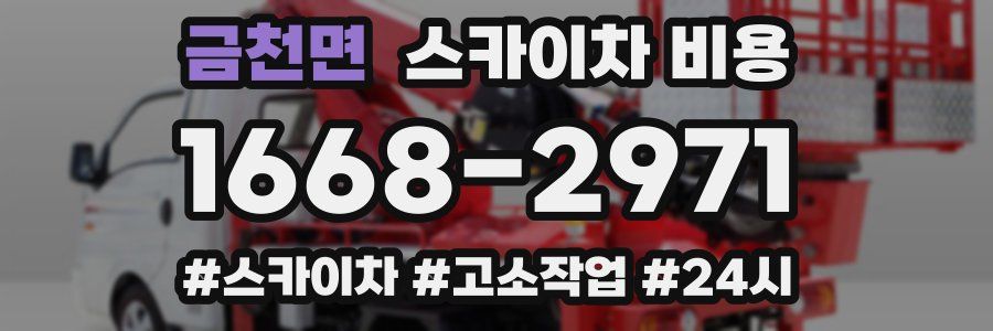 금천면 스카이차 비용