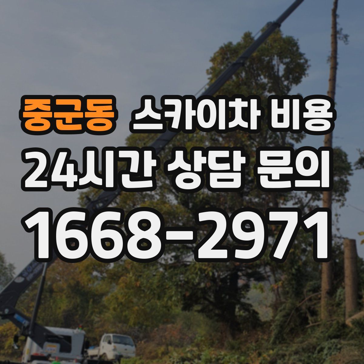 중군동 스카이차 비용