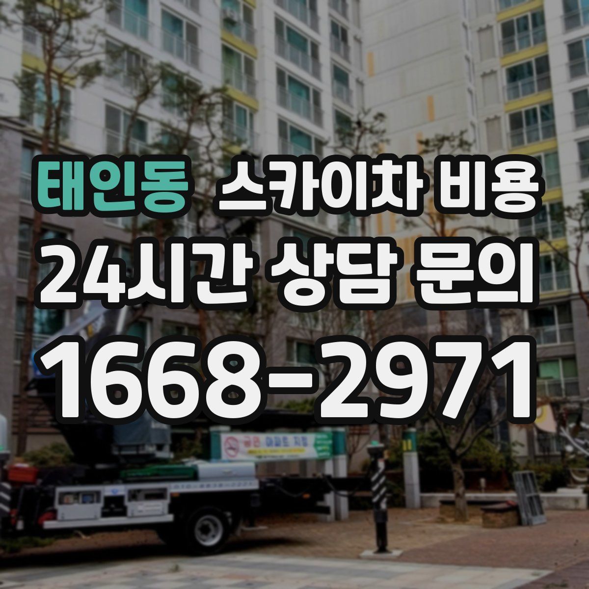 태인동 스카이차 비용