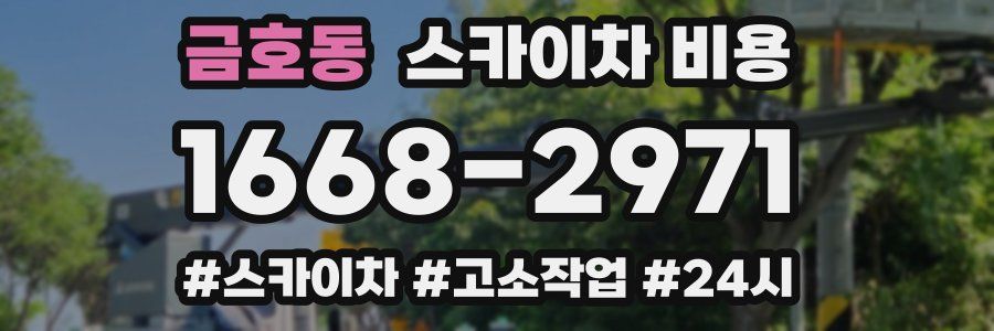 금호동 스카이차 비용