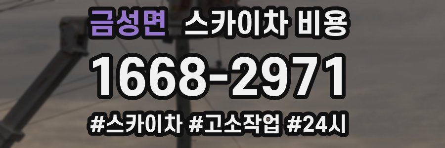 금성면 스카이차 비용