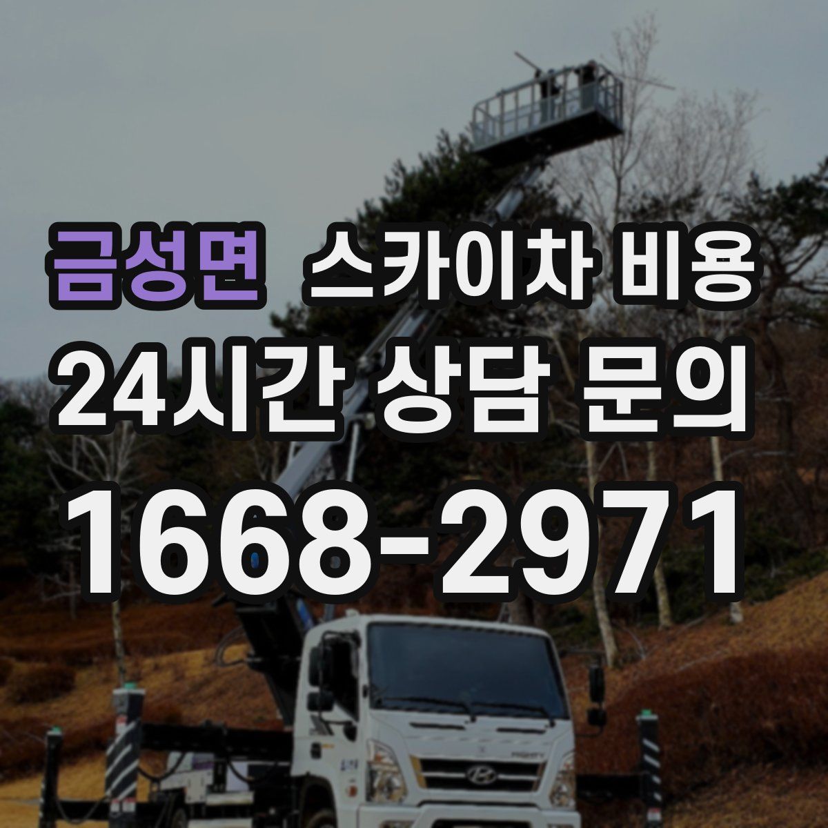 금성면 스카이차 비용