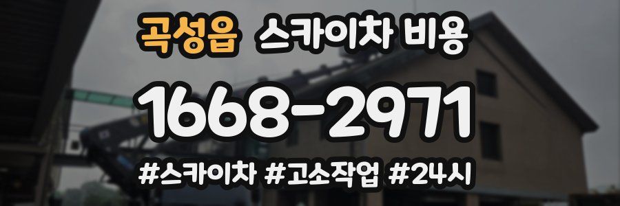 곡성읍 스카이차 비용