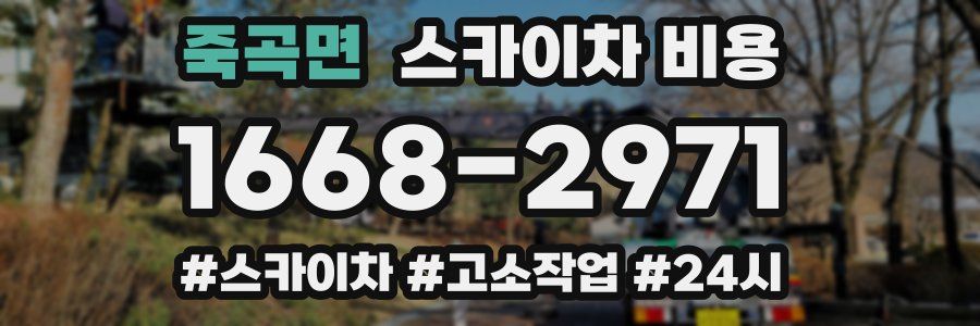 죽곡면 스카이차 비용