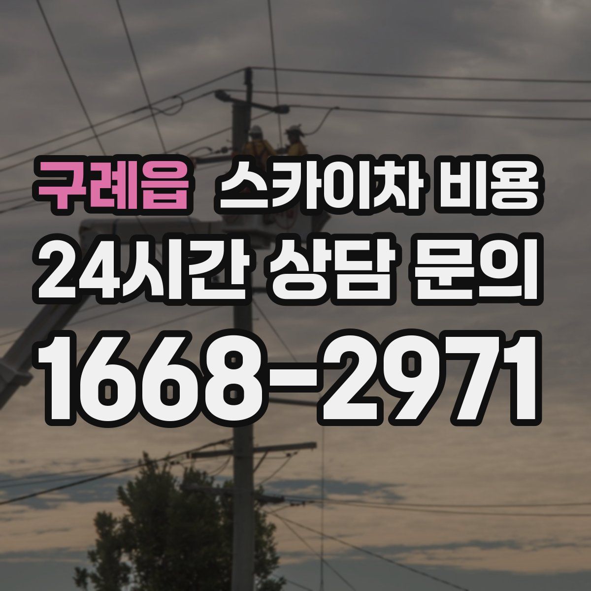 구례읍 스카이차 비용