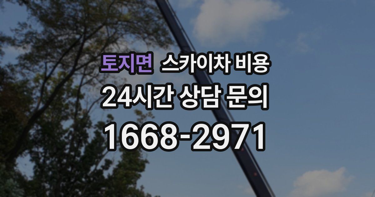 토지면 스카이차 비용