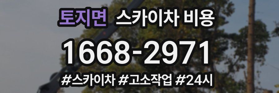 토지면 스카이차 비용