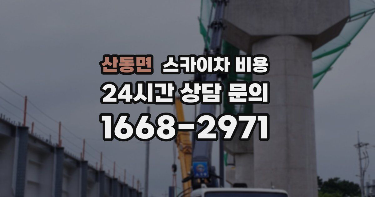 산동면 스카이차 비용