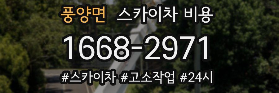 풍양면 스카이차 비용