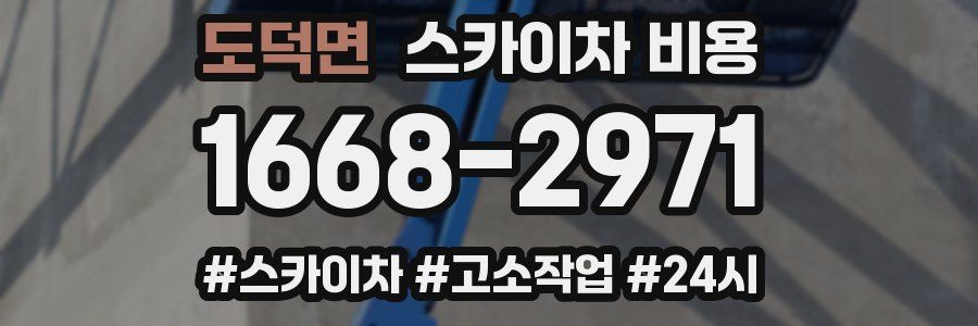 도덕면 스카이차 비용