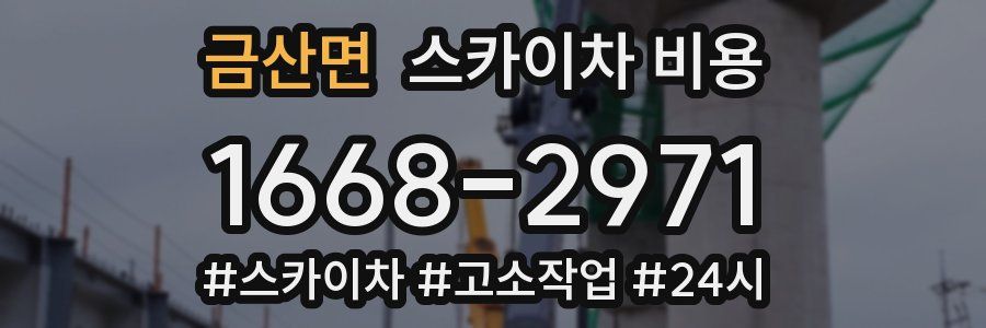 금산면 스카이차 비용