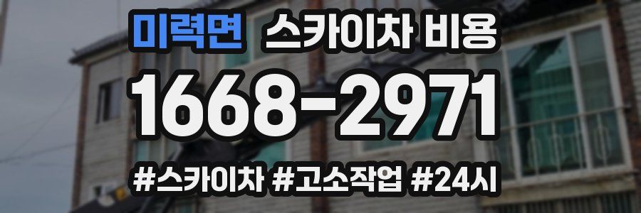 미력면 스카이차 비용