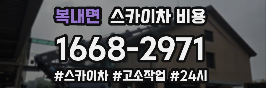 복내면 스카이차 비용