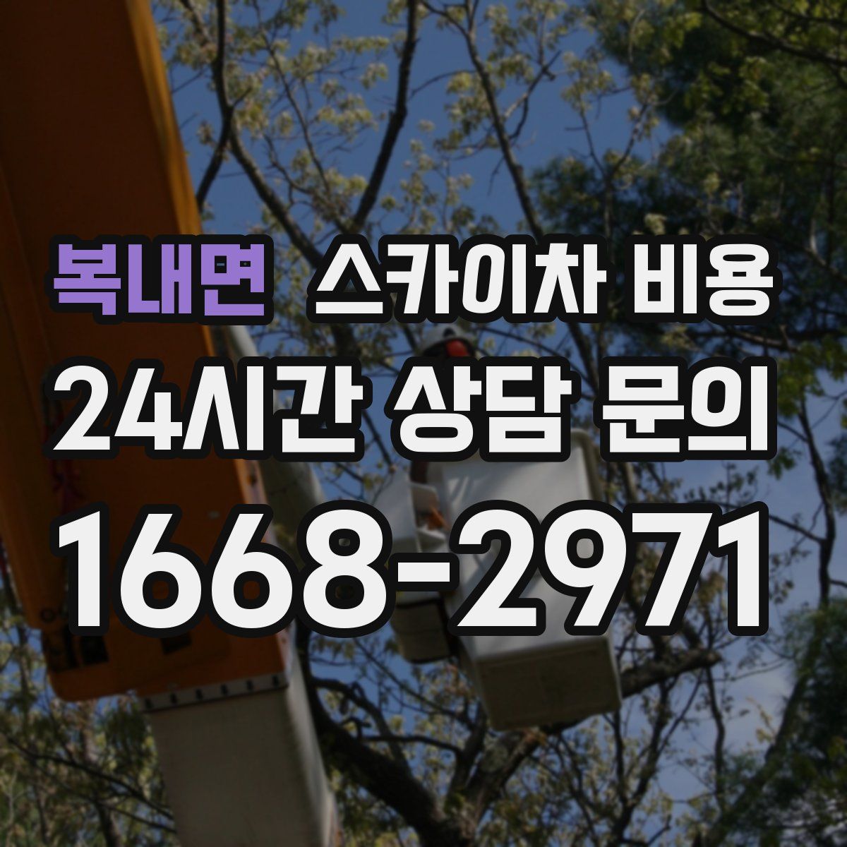 복내면 스카이차 비용