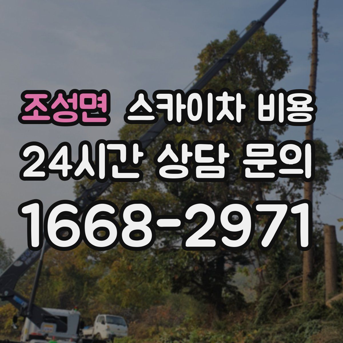 조성면 스카이차 비용