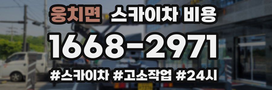 웅치면 스카이차 비용