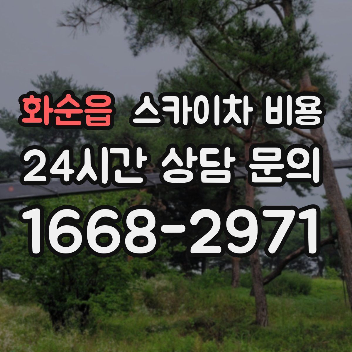 화순읍 스카이차 비용