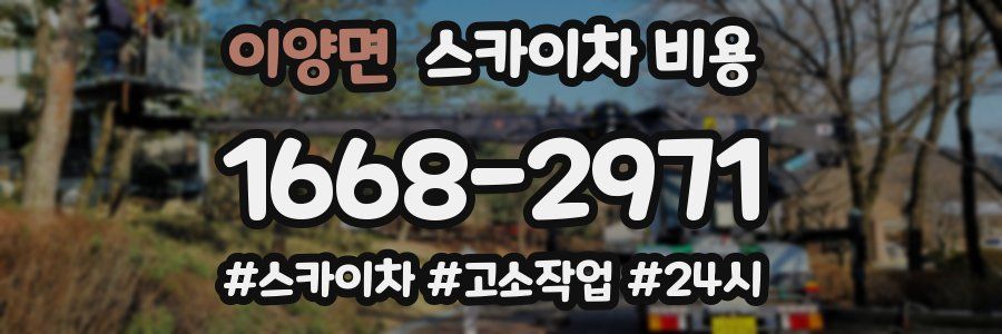 이양면 스카이차 비용