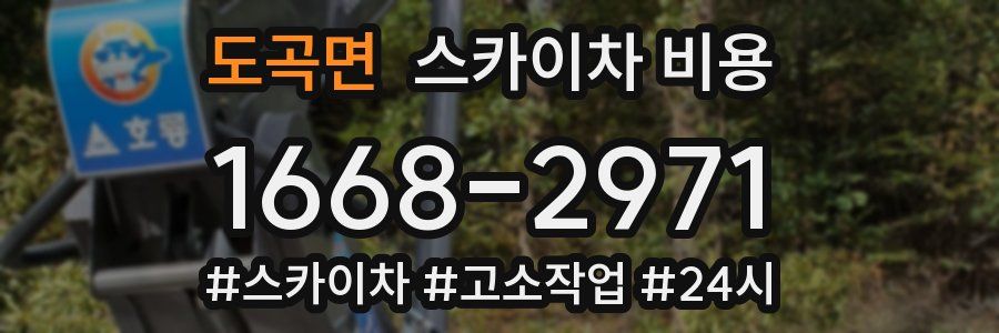 도곡면 스카이차 비용