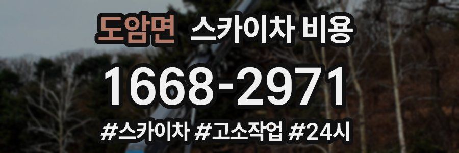 도암면 스카이차 비용