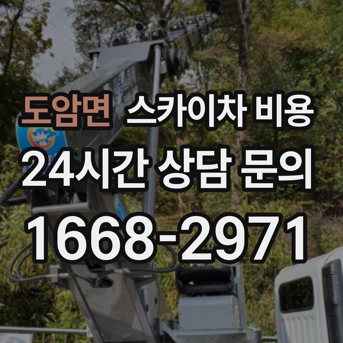 도암면 스카이차 비용