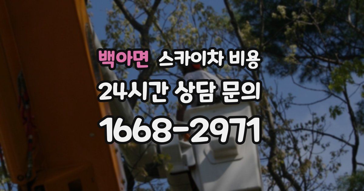 백아면 스카이차 비용