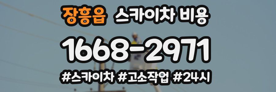 장흥읍 스카이차 비용