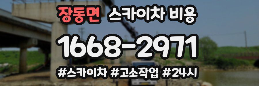 장동면 스카이차 비용