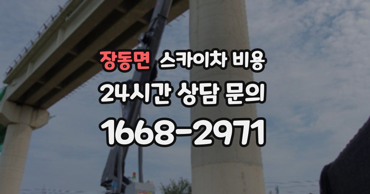 장동면 스카이차 비용