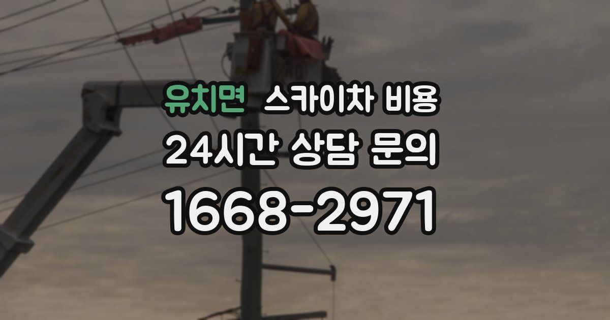 유치면 스카이차 비용