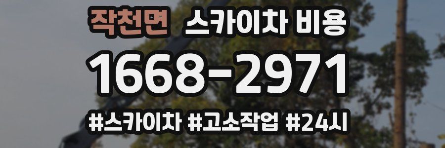 작천면 스카이차 비용